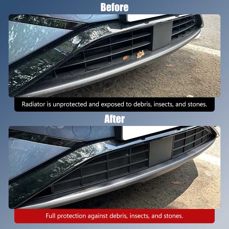 Front Lower Grille Insect Protection Mesh For BYD Sealion 7 (2025–2026)